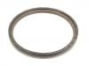 Crankshaft Oil Seal:1 520 998